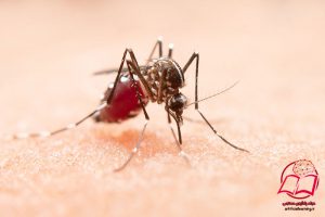 دیپ مالاریا : کشف ضد پلاسمودیوم های قوی به وسیله هوش مصنوعی